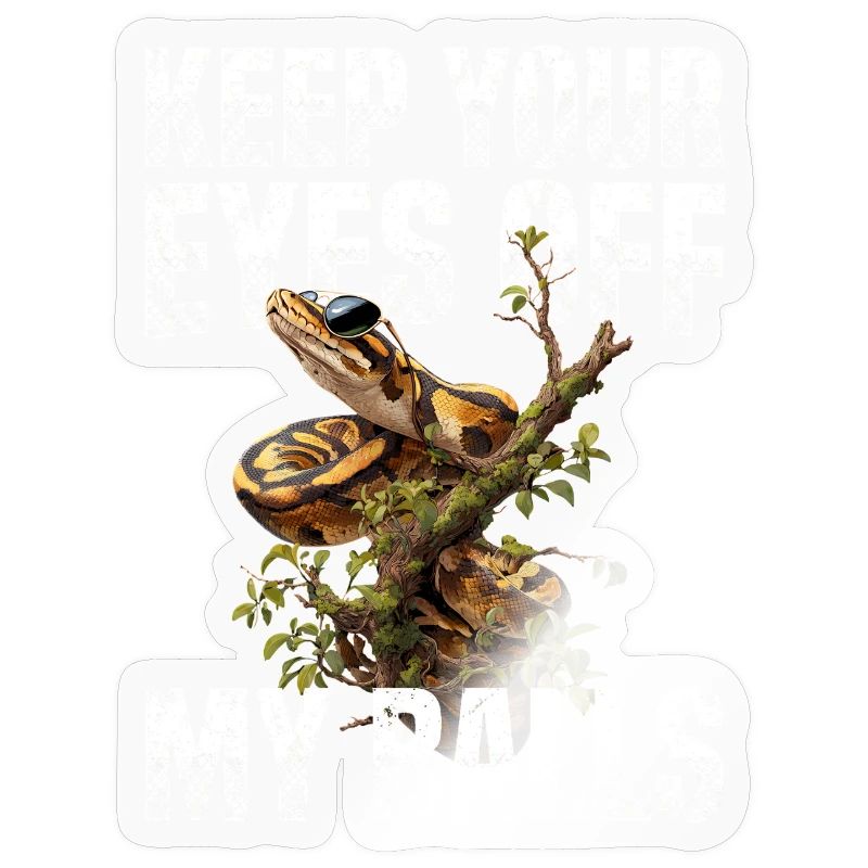 Königspython Schlangen Liebhaber Terrarium Python