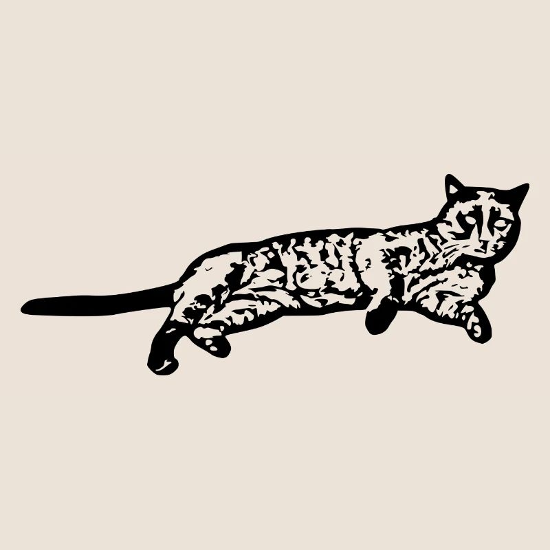 Chat chat noir chaton
