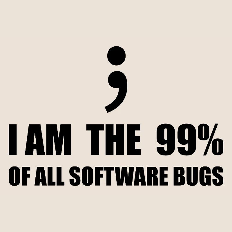 Programmeur Computer Scientist