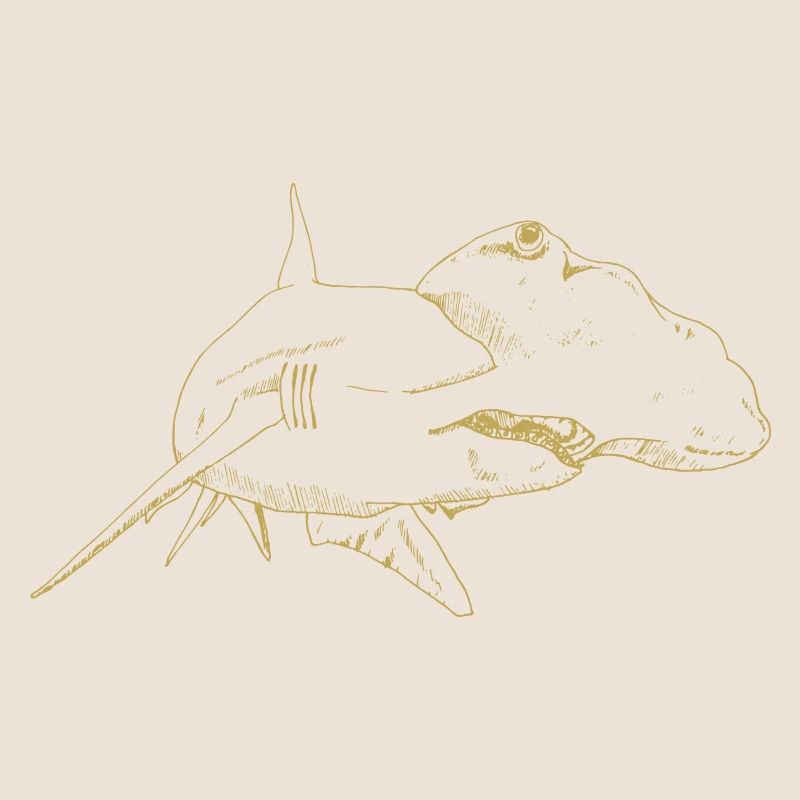 Motifs illustrés avec un requin-marteau
