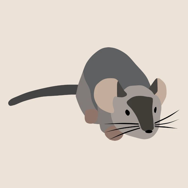 Graue Maus