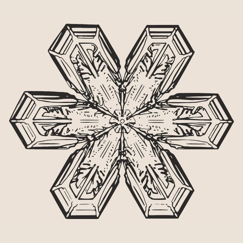 snowflake 1 black