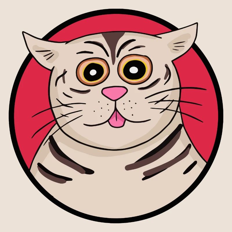 Chat étrange