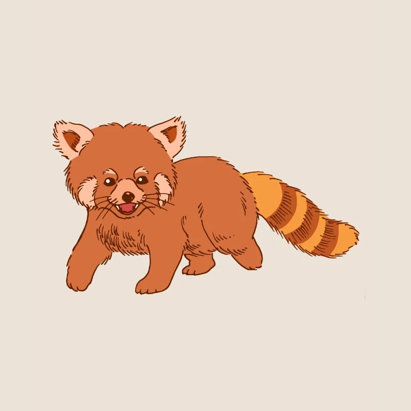Panda rouge