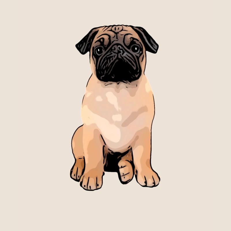 Mops Mops Mops