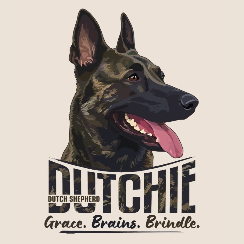 Dutchie - Holländischer Schäferhund
