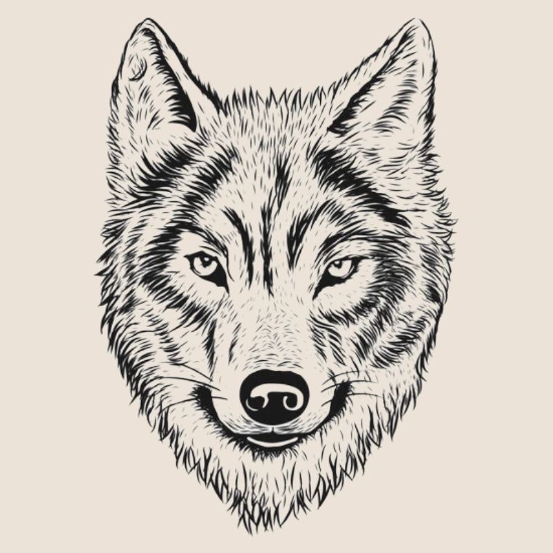 Wolfenkopf Line Drawing