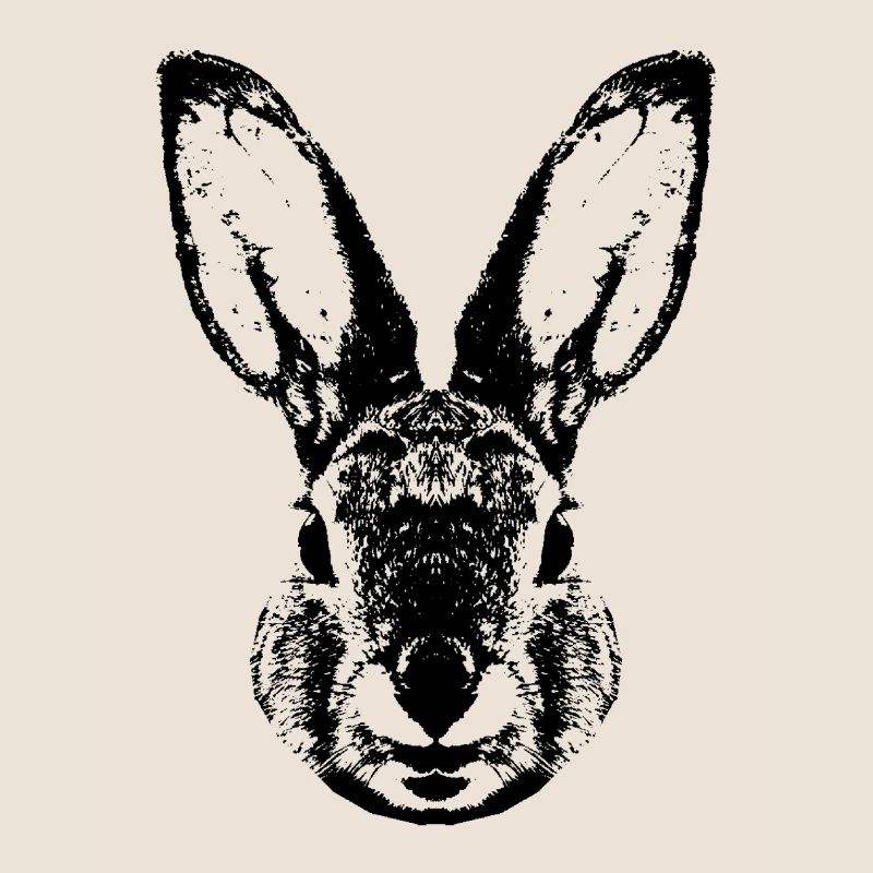 Hare / Rabbit / Rabbit / Bunnie