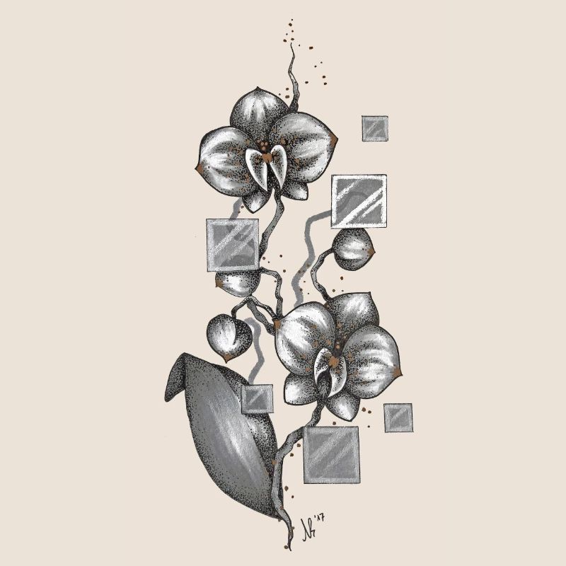 orchidée