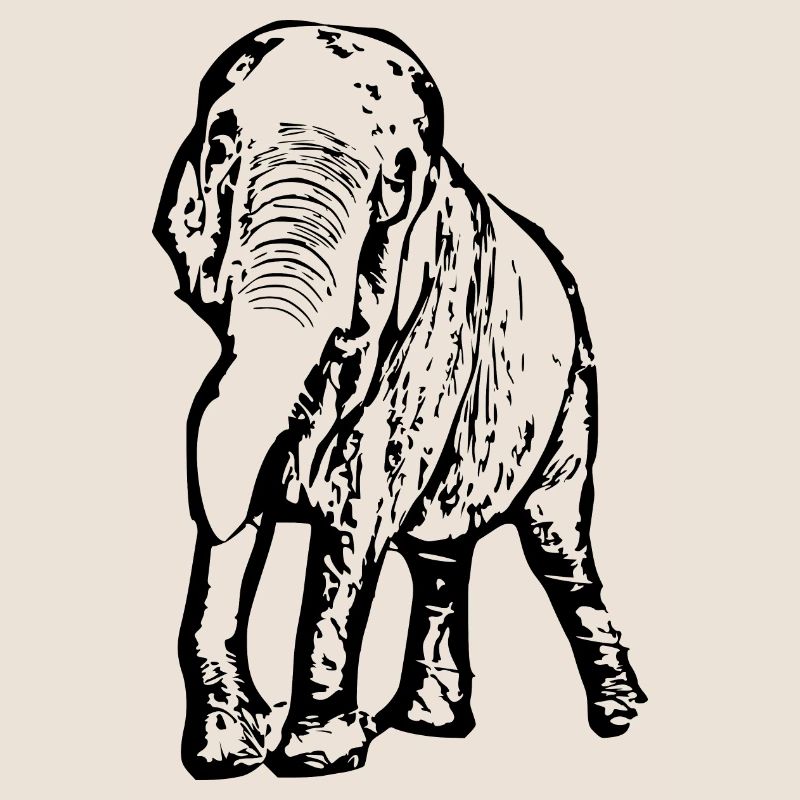 Elephant black