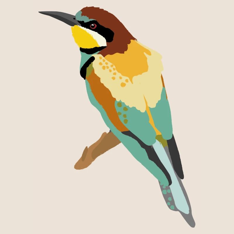 Bee-eater illustration