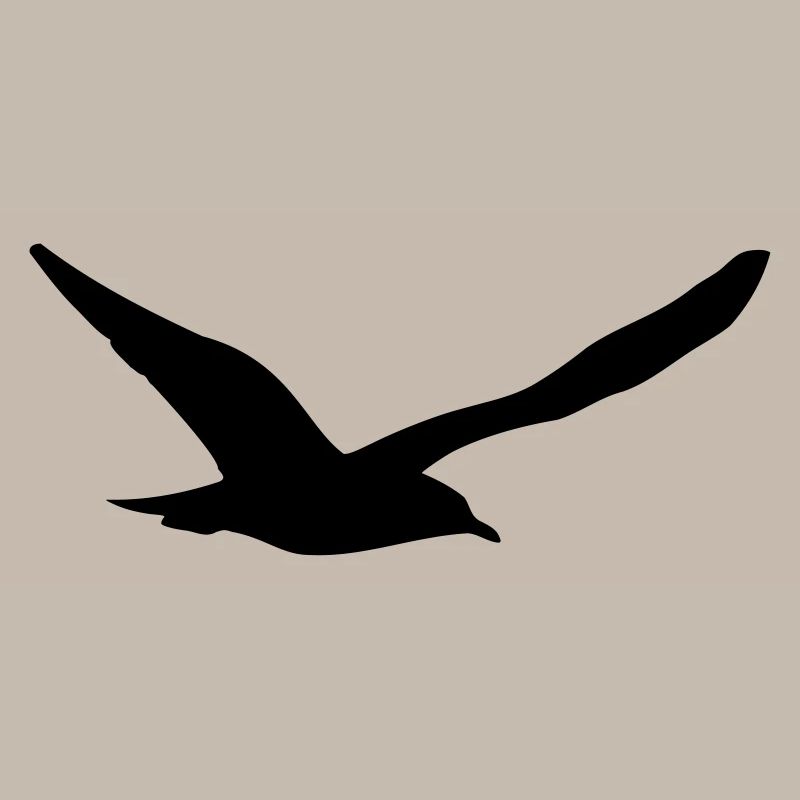 Möwe