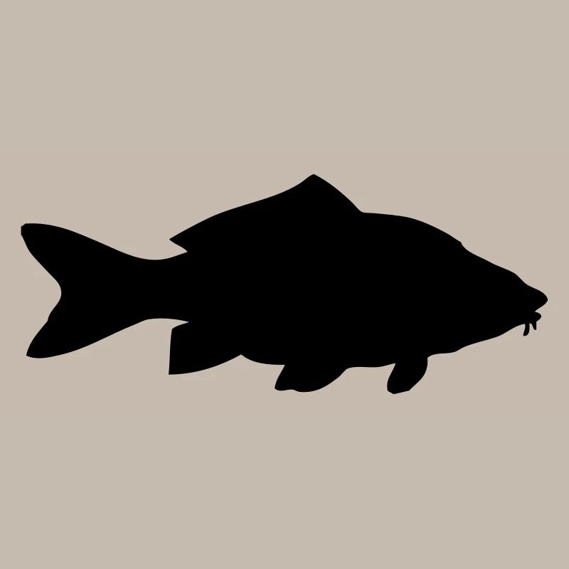 Karpfen - Fisch - Fish