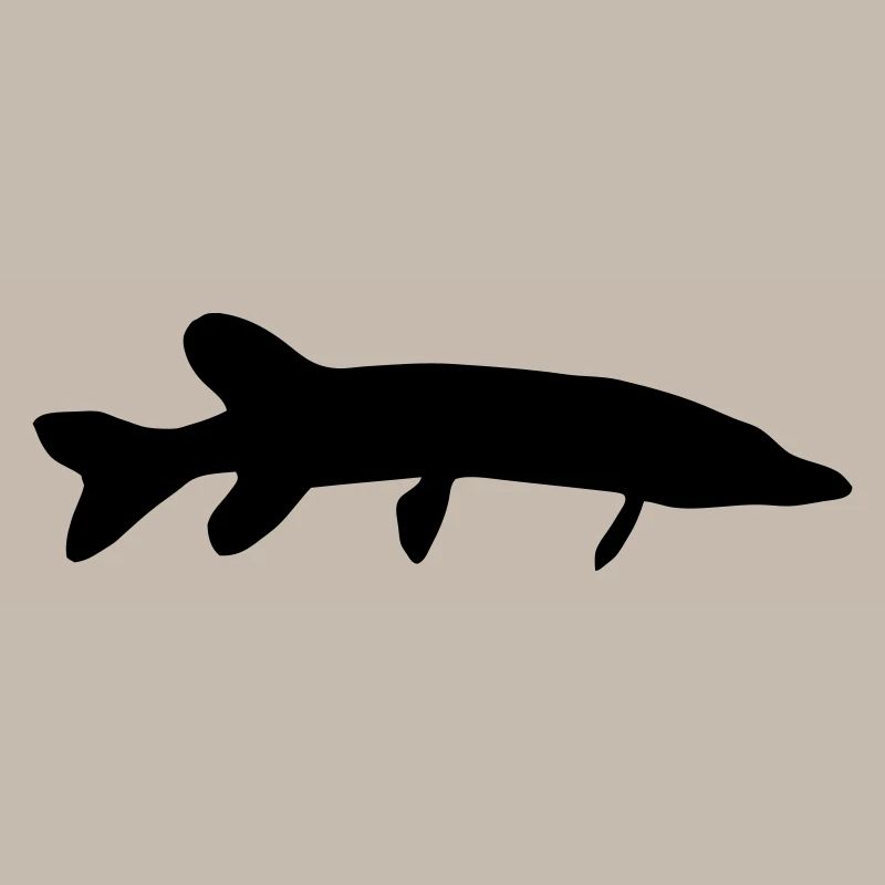 Hecht - Fisch - Fish