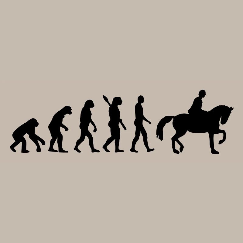 Évolution Cheval