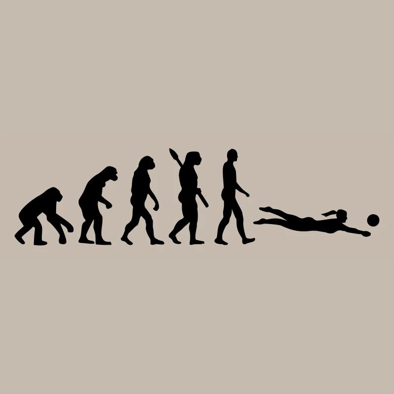 Évolution Beach volley