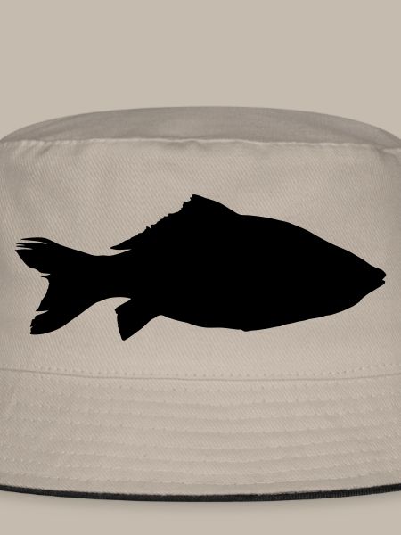 fish carp silhouette