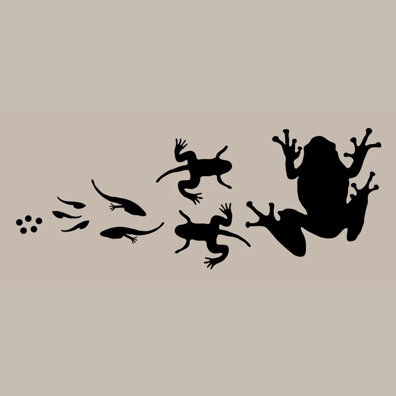 évolution-grenouille