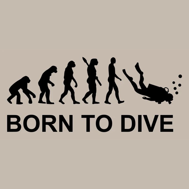 Évolution Plongée