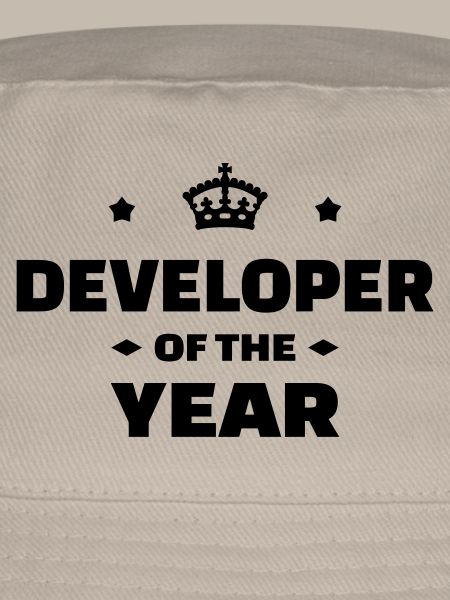 Entwickler / Informatiker / Programmierer /