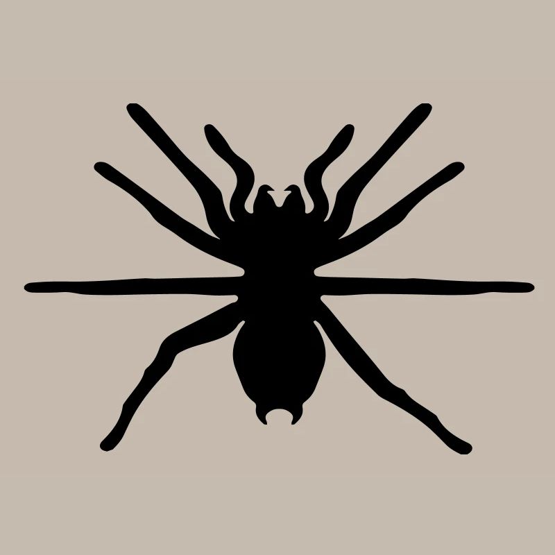 araignee