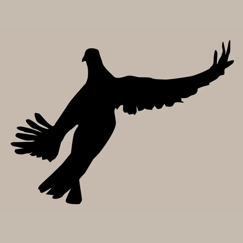 Colombe 1