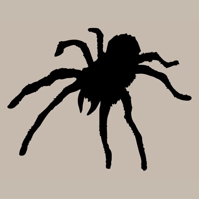 Tarantula Spider