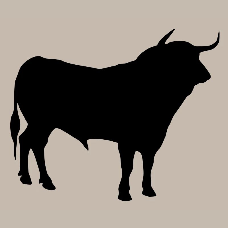 toro 2