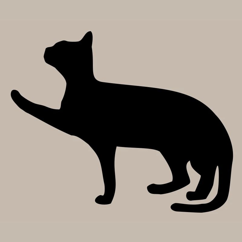 Katze
