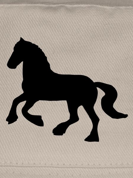 Friese / Kaltblut Pferd