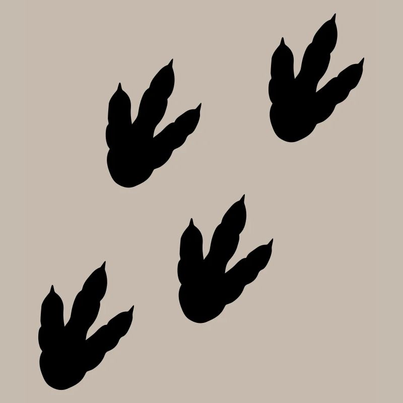 Dinosaur track