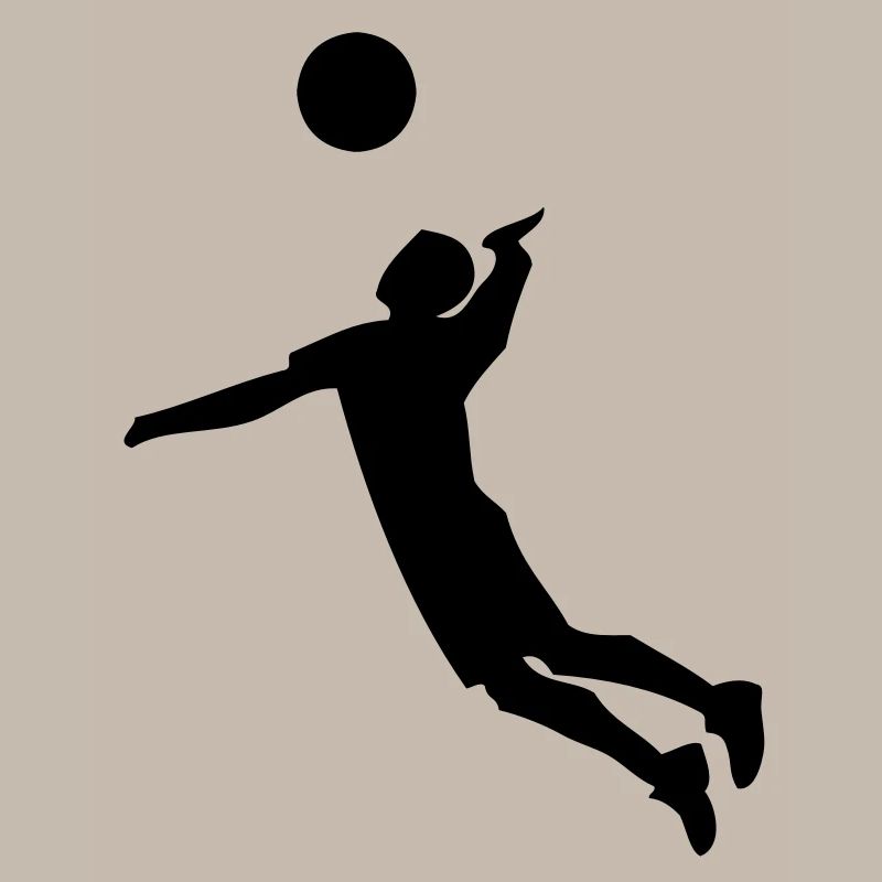 volleyball