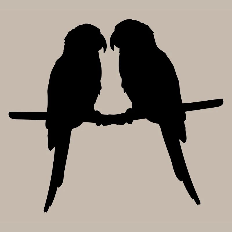 Perroquets quelques oiseaux