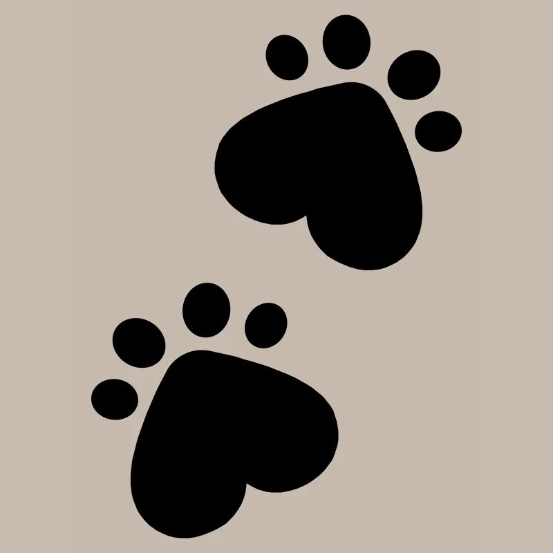 Pattes