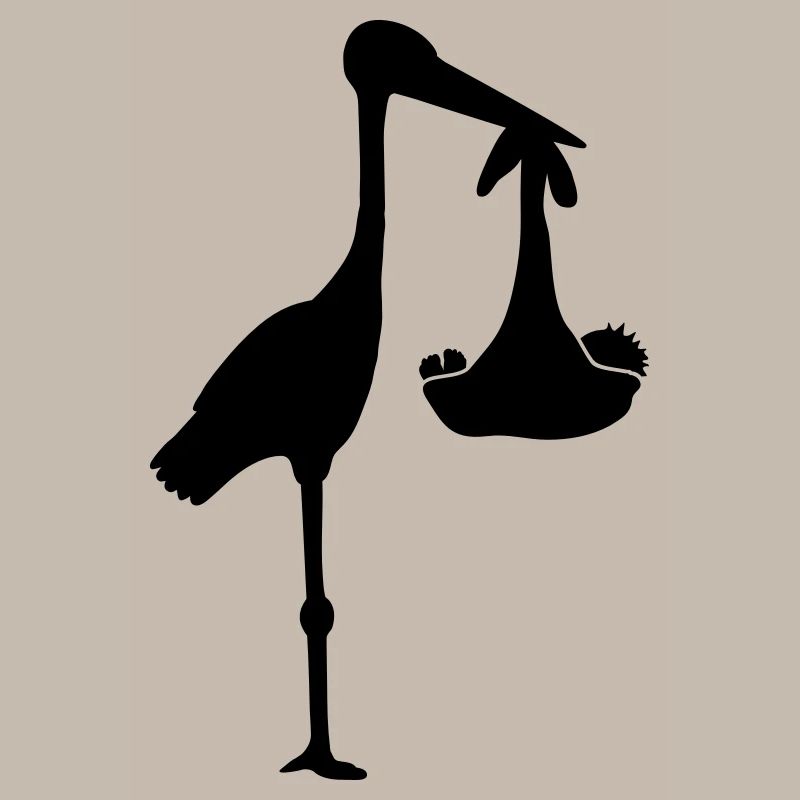 Stork And Baby