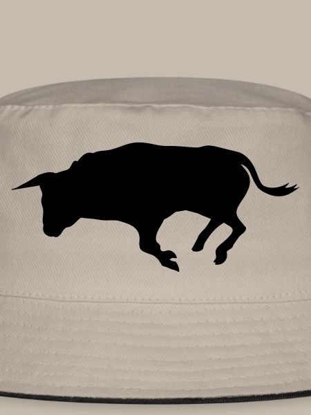 stier