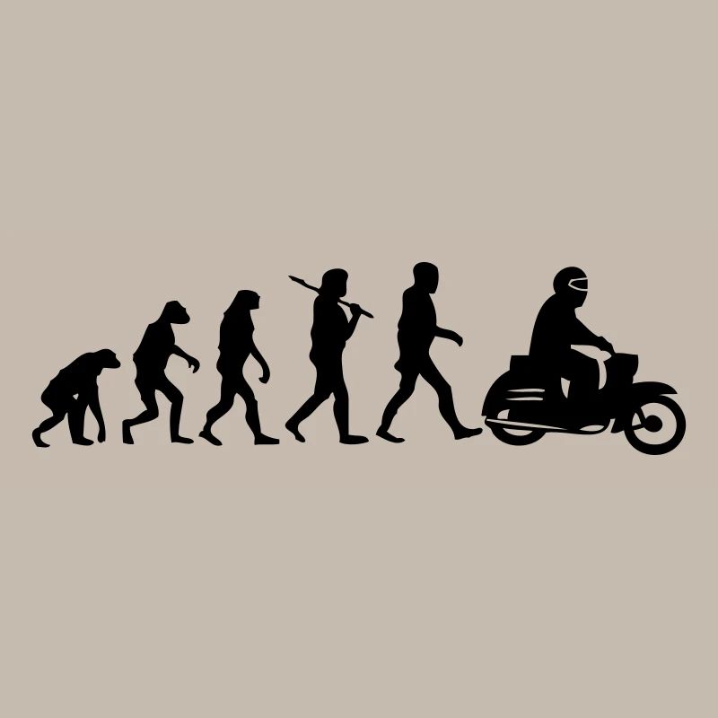 schwalbenevolution
