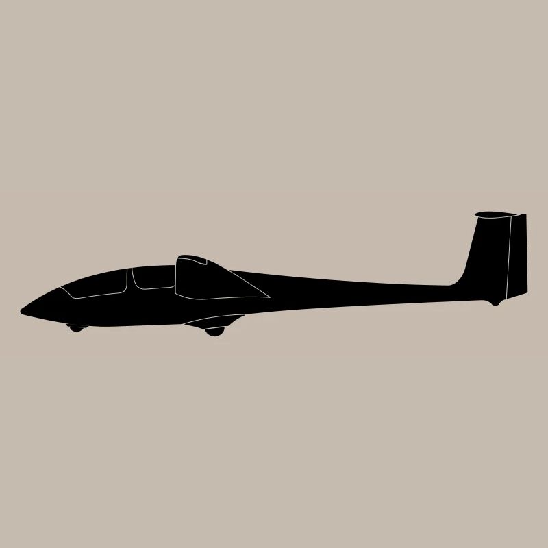 ASK 21 sailplane