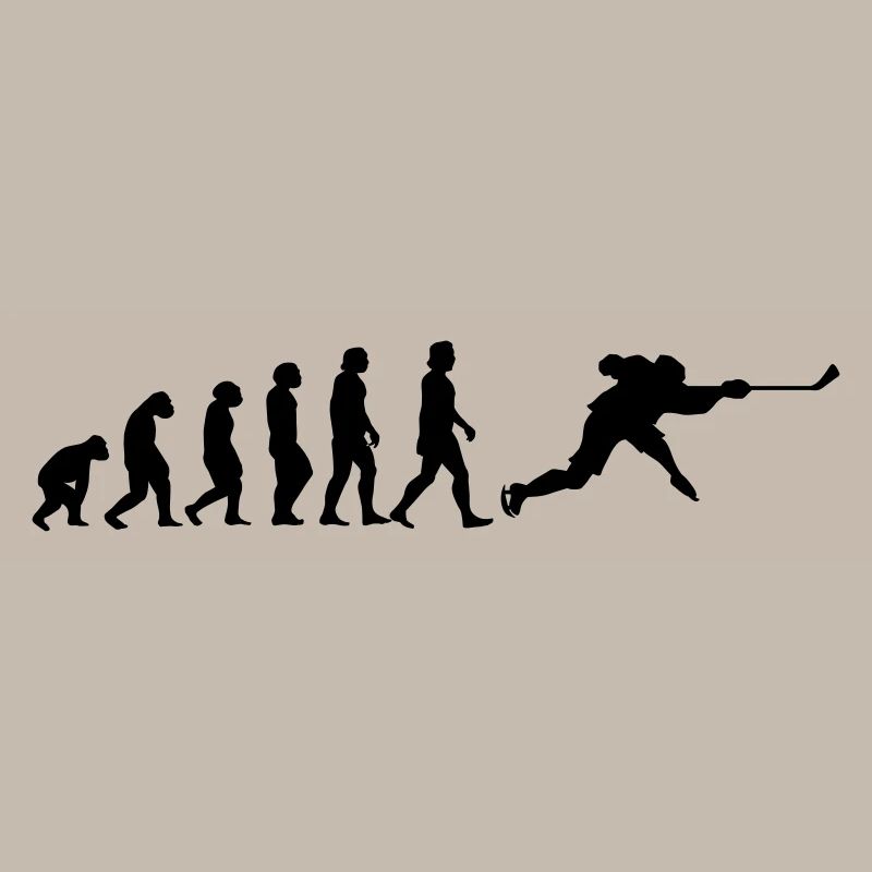 l'évolution du hockey