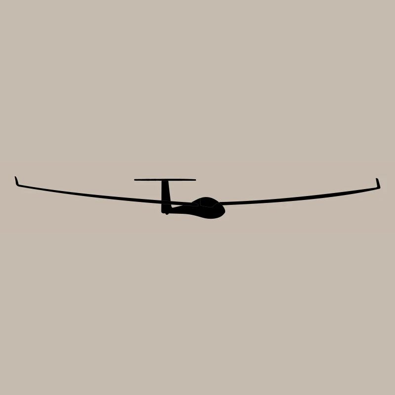 soaring pilot