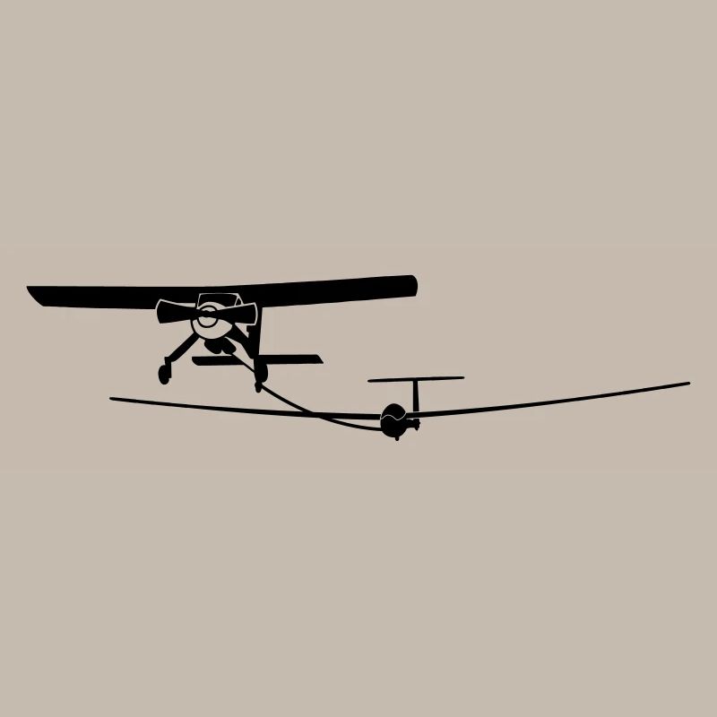 Vol planeur avion mouche cadeau