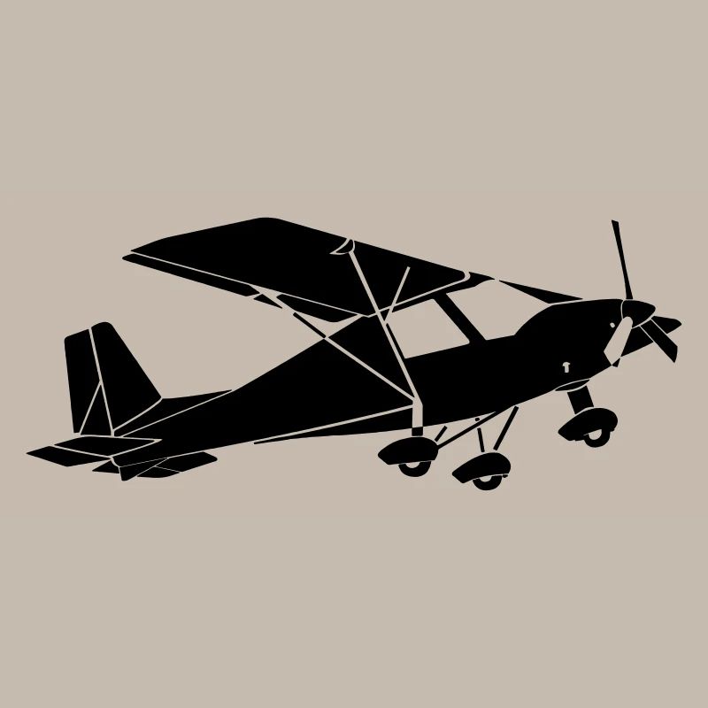 Ultralight C42 pilot fly gift