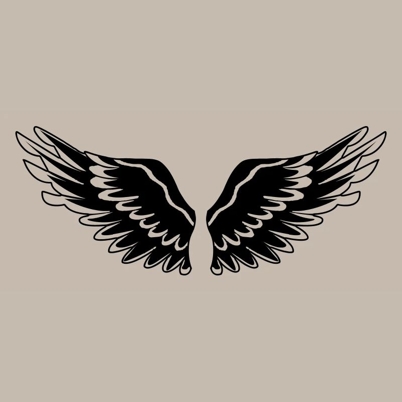 Ailes noir de