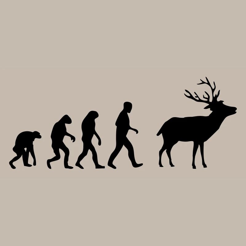 hirsch evolution