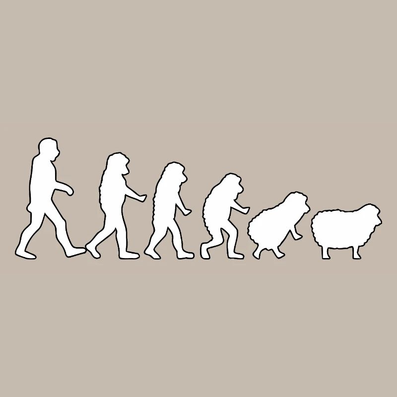 Evolution to Sheep: Herd Mindset