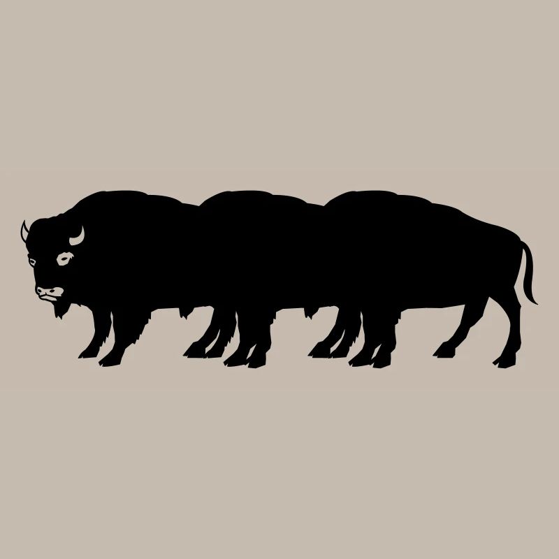 bisons