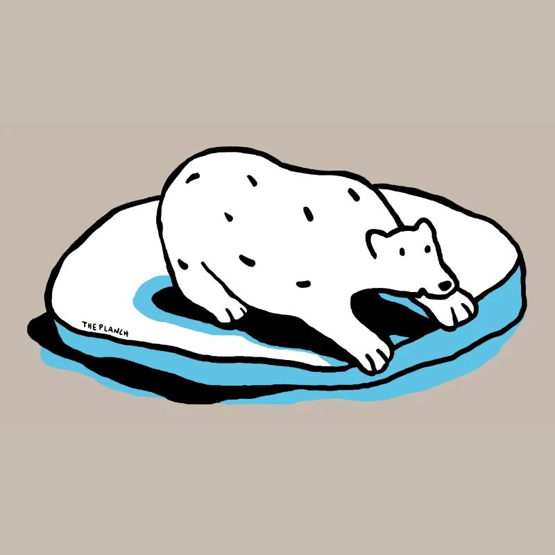 Der Eisbär