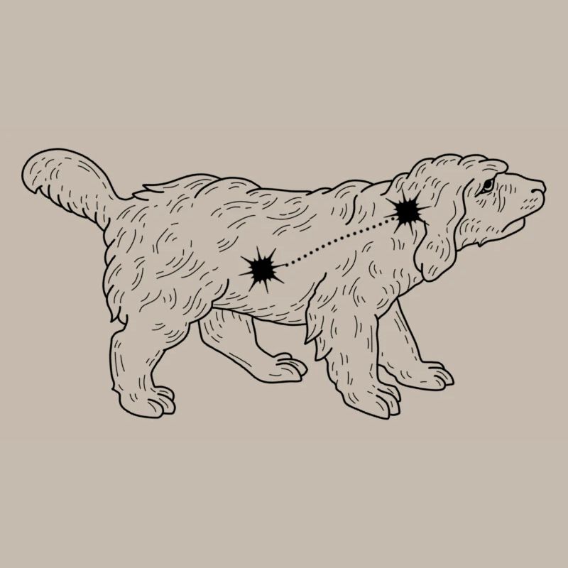 Constellation