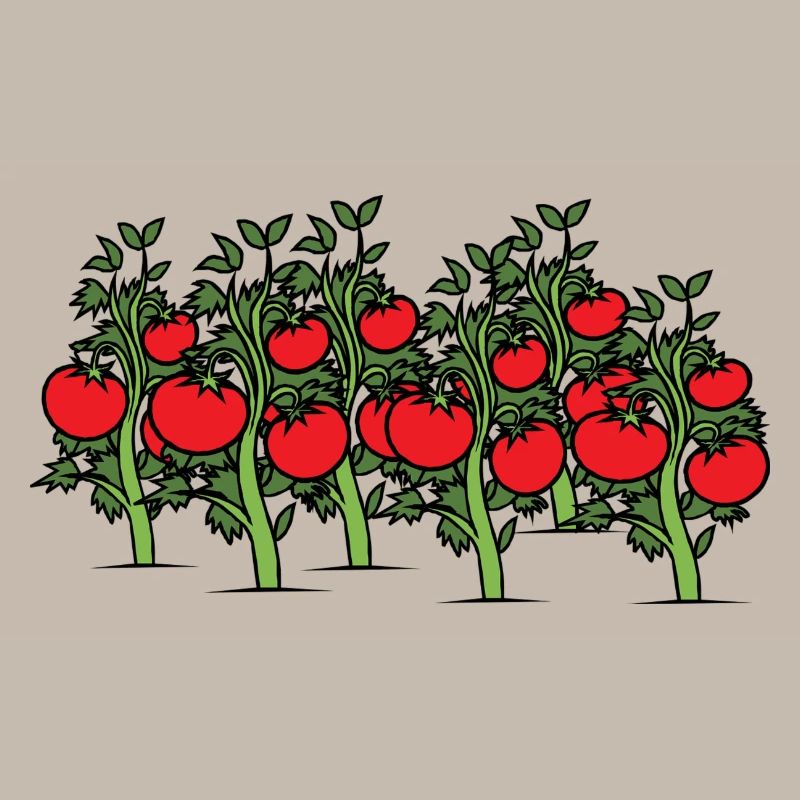 Des tomates sur l’arbuste. Idée de cadeau