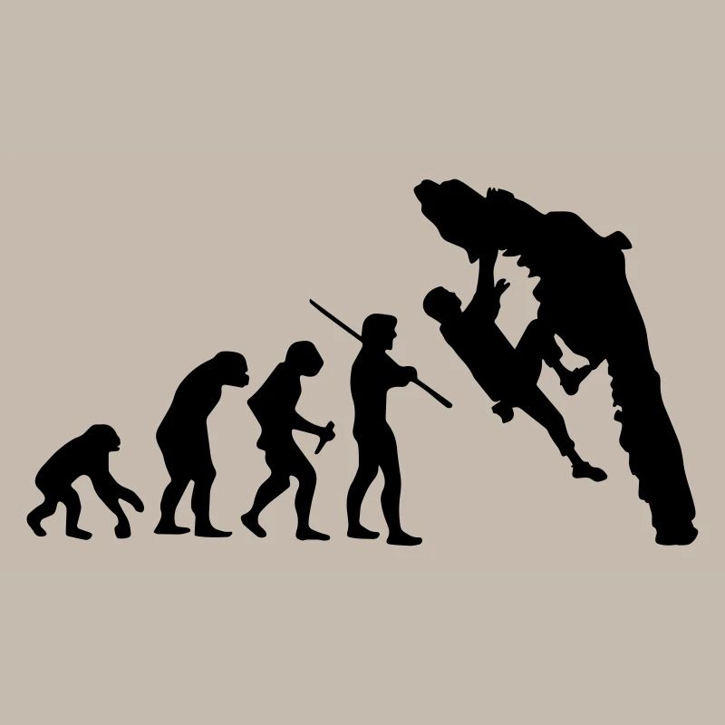 Boulder Evolution